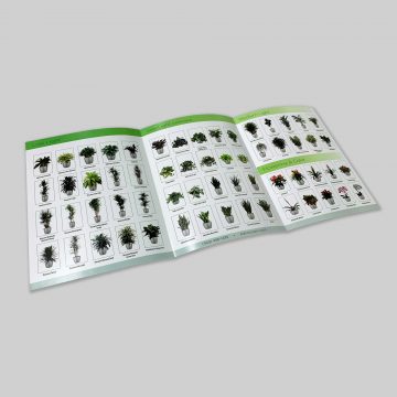 11-x-25-Brochure2