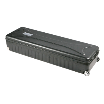 fuji-case-1
